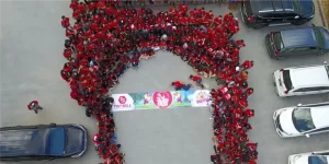 1x2 About us 4-c