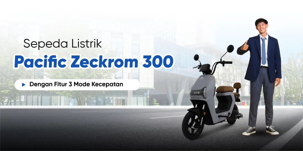 Pacific Zeckrom 300