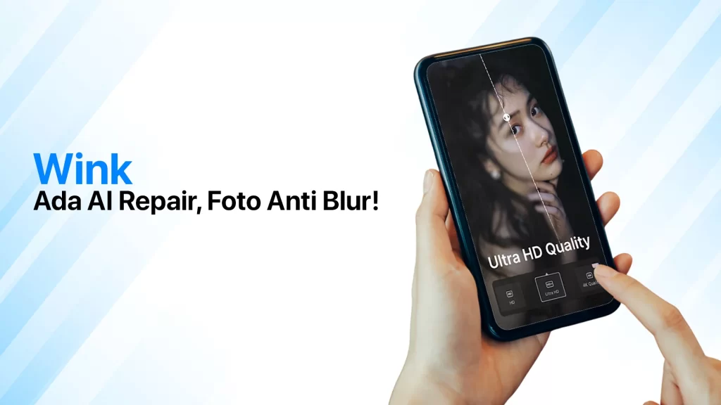 Aplikasi Wink