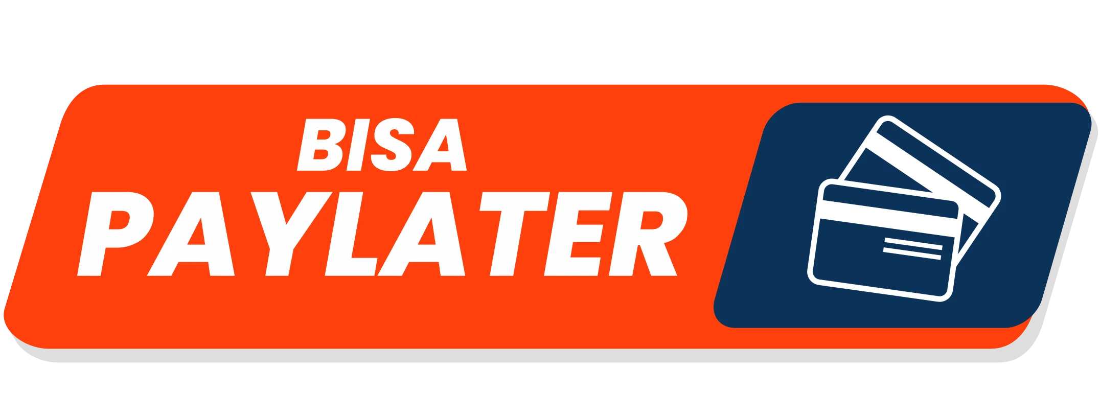 Bisa Paylater