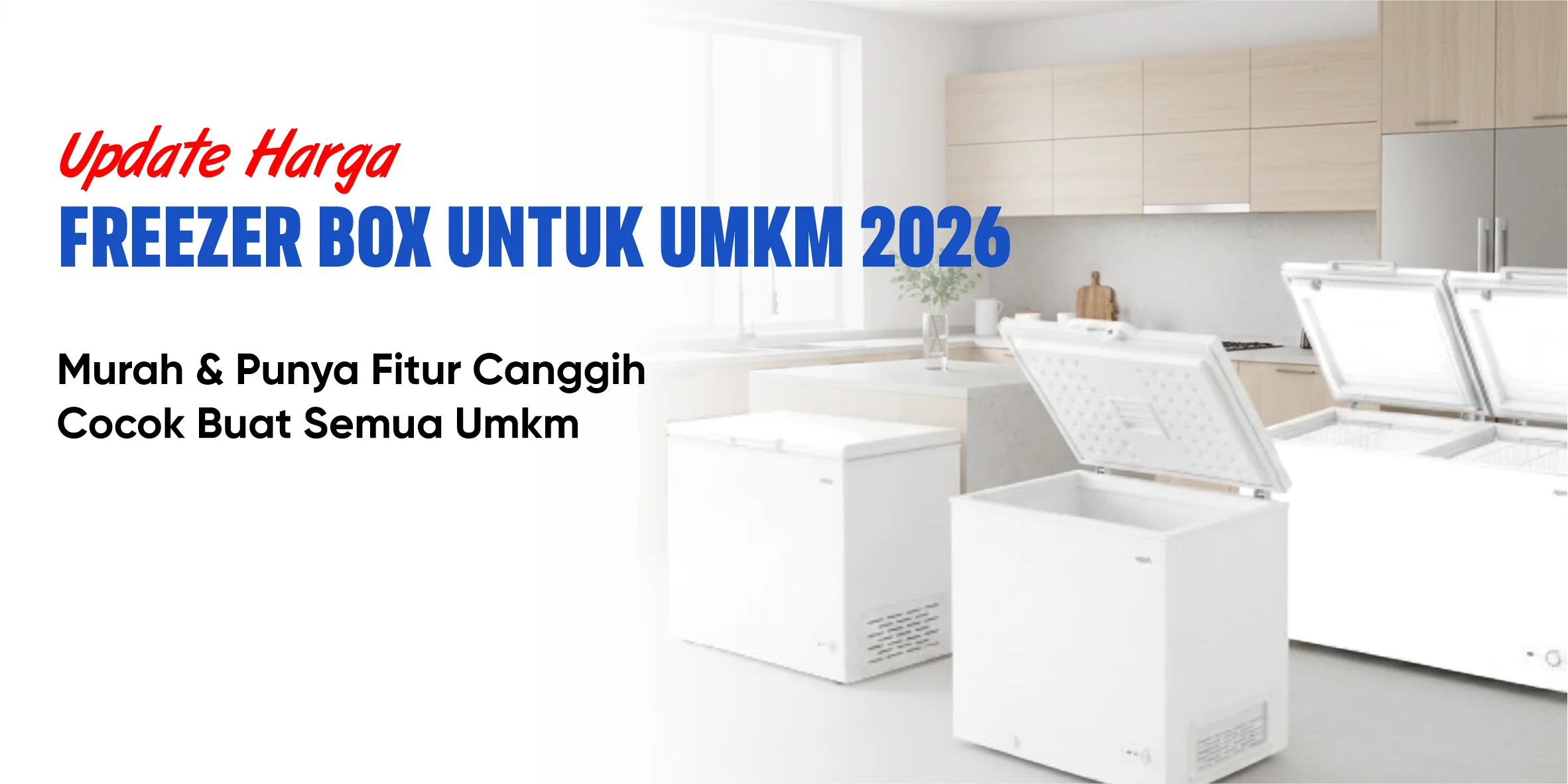 Freezer box untuk UMKM