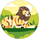 Imam Mahmudi profile picture