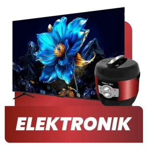 ELEKTRONIK