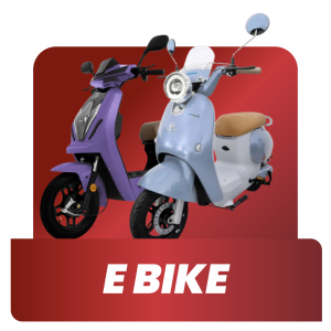 E BIKE ICON