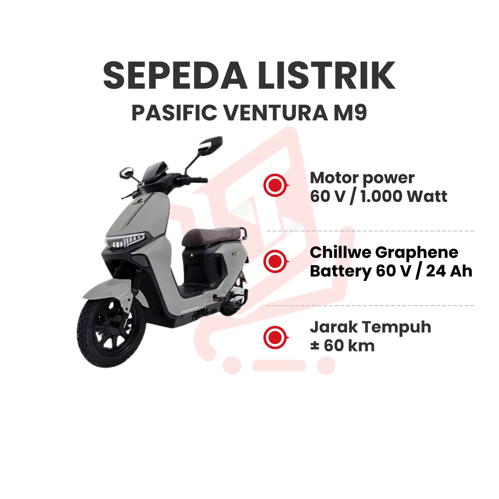 PASIFIC VENTURA M9